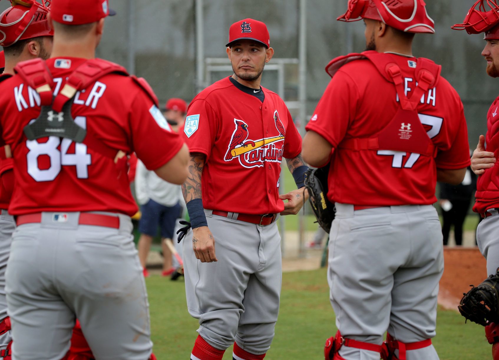 Cardinals spring training